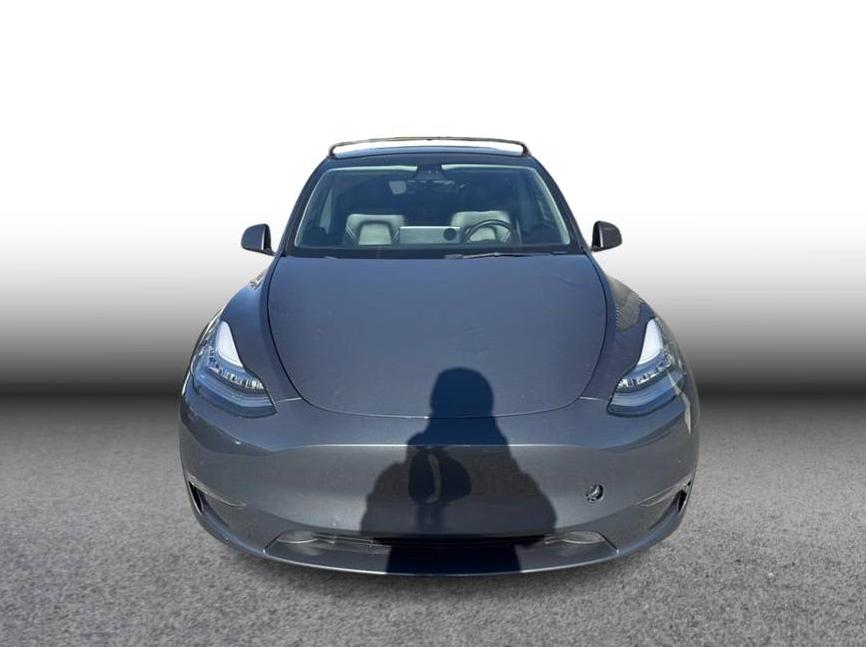 TESLA MODEL Y 2021 5YJYGDEE6MF219210 image